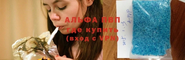 гидра Богородицк