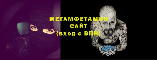 гидра Богородицк