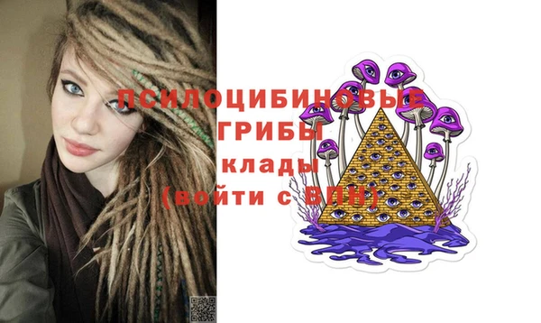 COCAINE Богородск