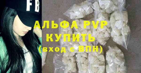 дмт Пересвет