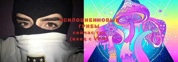 гидра Богородицк